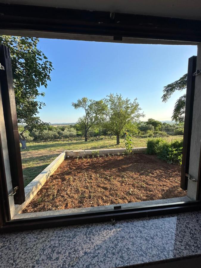 Relax And Unwind: Family-Friendly House Near Zadar In Zagrad Villa Luaran gambar